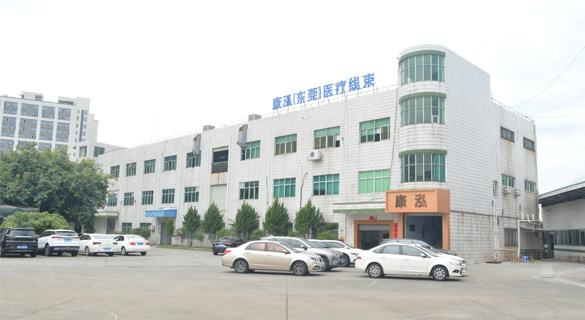 康泓（東莞）醫療線(xiàn)束科技有限公司